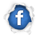 Like Us on Facebook