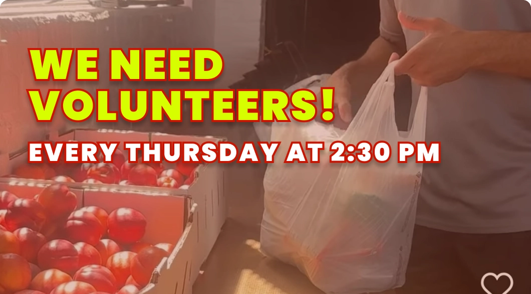 We need volunteers! Every Thursday at 2:30 PM - Image of a volunteer prepping food bags for the weekly food distribution program